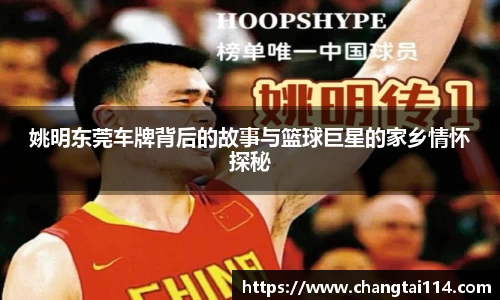姚明东莞车牌背后的故事与篮球巨星的家乡情怀探秘